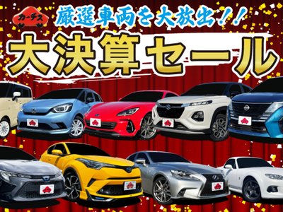 TOYOTA LAND CRUISER 250 - 2