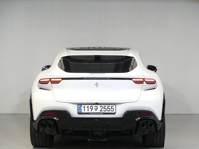 FERRARI PUROSANGUE - 2