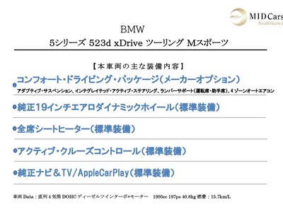 BMW 5 SERIES TOURING - 3