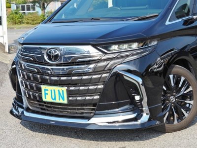 2023 Toyota ALPHARD — миниатюра 11