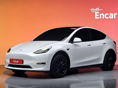 2022 Tesla MODEL Y photo 1