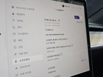 2022 Tesla MODEL Y 缩略图 32