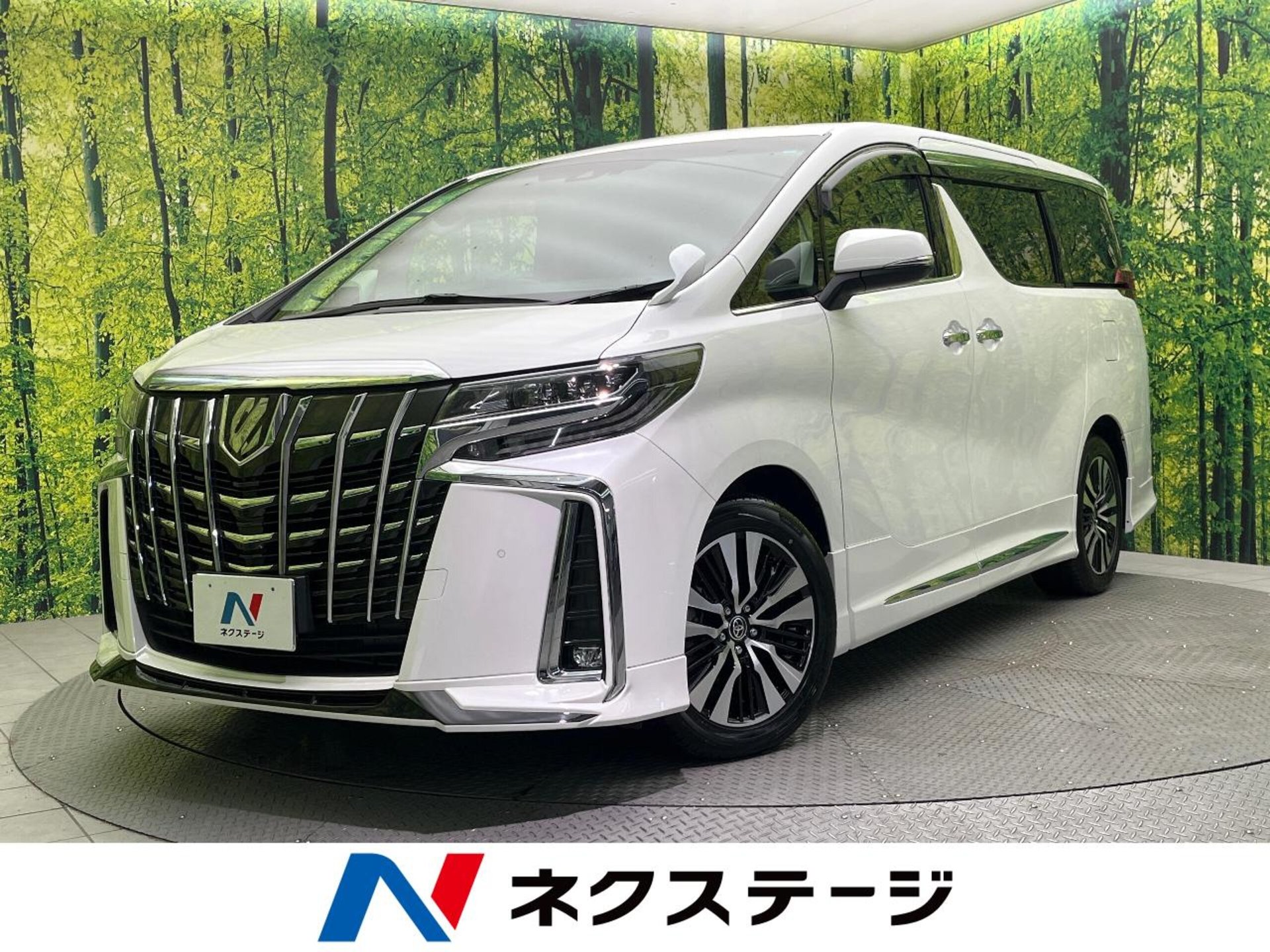 TOYOTA ALPHARD - View 1