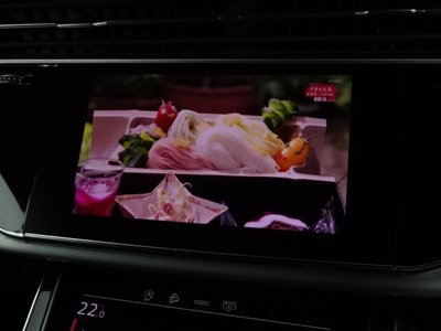 2023 AUDI Q8 缩略图 22