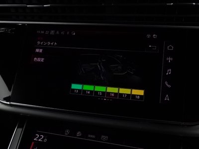 2023 AUDI Q8 缩略图 24