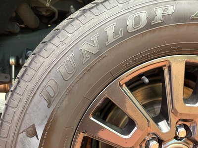 2024 Toyota LAND CRUISER 250 thumbnail 29