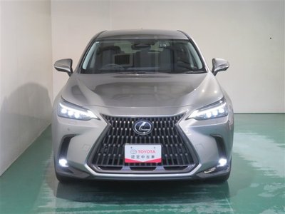 LEXUS NX - 8