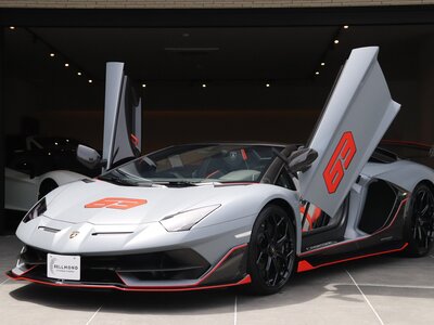 LAMBORGHINI AVENTADOR ROADSTER