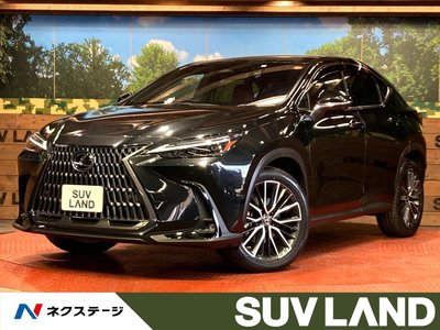 LEXUS NX - 1