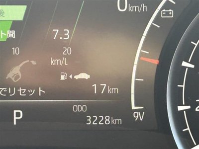 TOYOTA LAND CRUISER 300 - 5