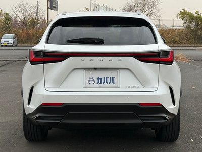 LEXUS NX - 4