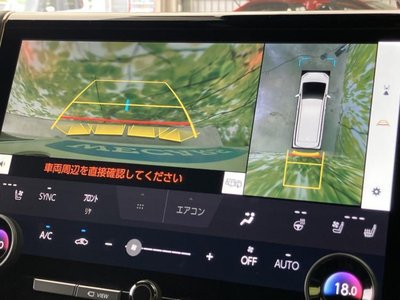 2024 TOYOTA ALPHARD — миниатюра 14