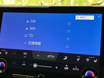2024 TOYOTA ALPHARD — миниатюра 11