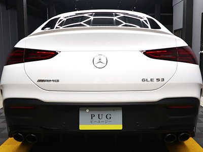 2025 Mercedes-BENZ GLE AMG photo 10
