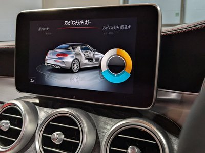 2017 Mercedes-BENZ C-CLASS AMG 缩略图 28