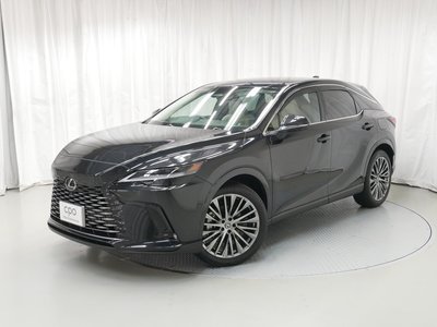 LEXUS RX - 1
