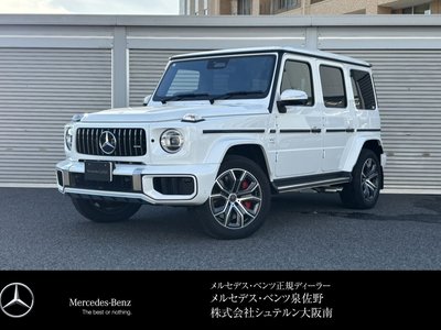 MERCEDES-BENZ G-CLASS AMG - 1