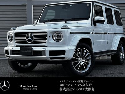 MERCEDES-BENZ G-CLASS - 2
