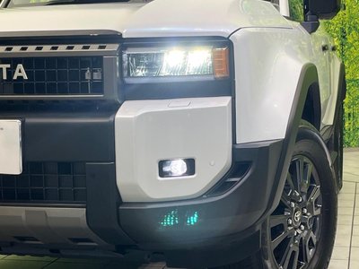 2025 Toyota LAND CRUISER 250 — миниатюра 13