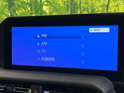 2025 Toyota LAND CRUISER 250 — миниатюра 67