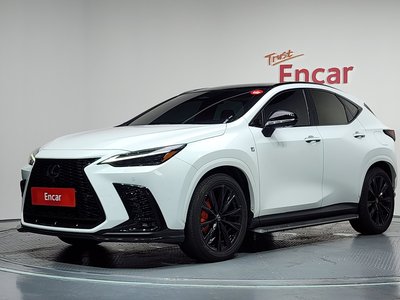 2025 Lexus NX photo 1