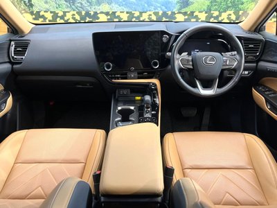LEXUS NX - 2