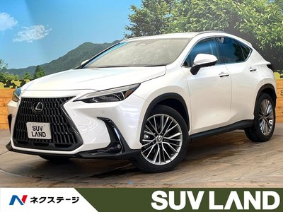 LEXUS NX - 1