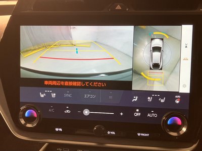 2023 Lexus RZ — миниатюра 25
