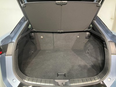 2023 Lexus RZ 照片 6