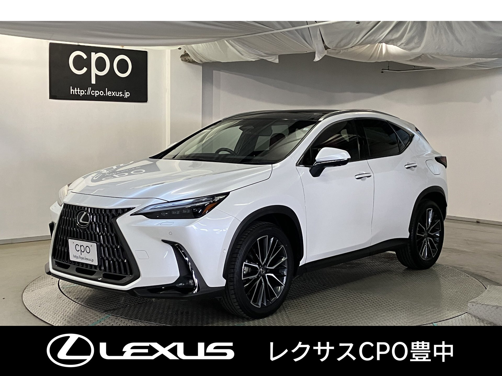 LEXUS NX - View 1