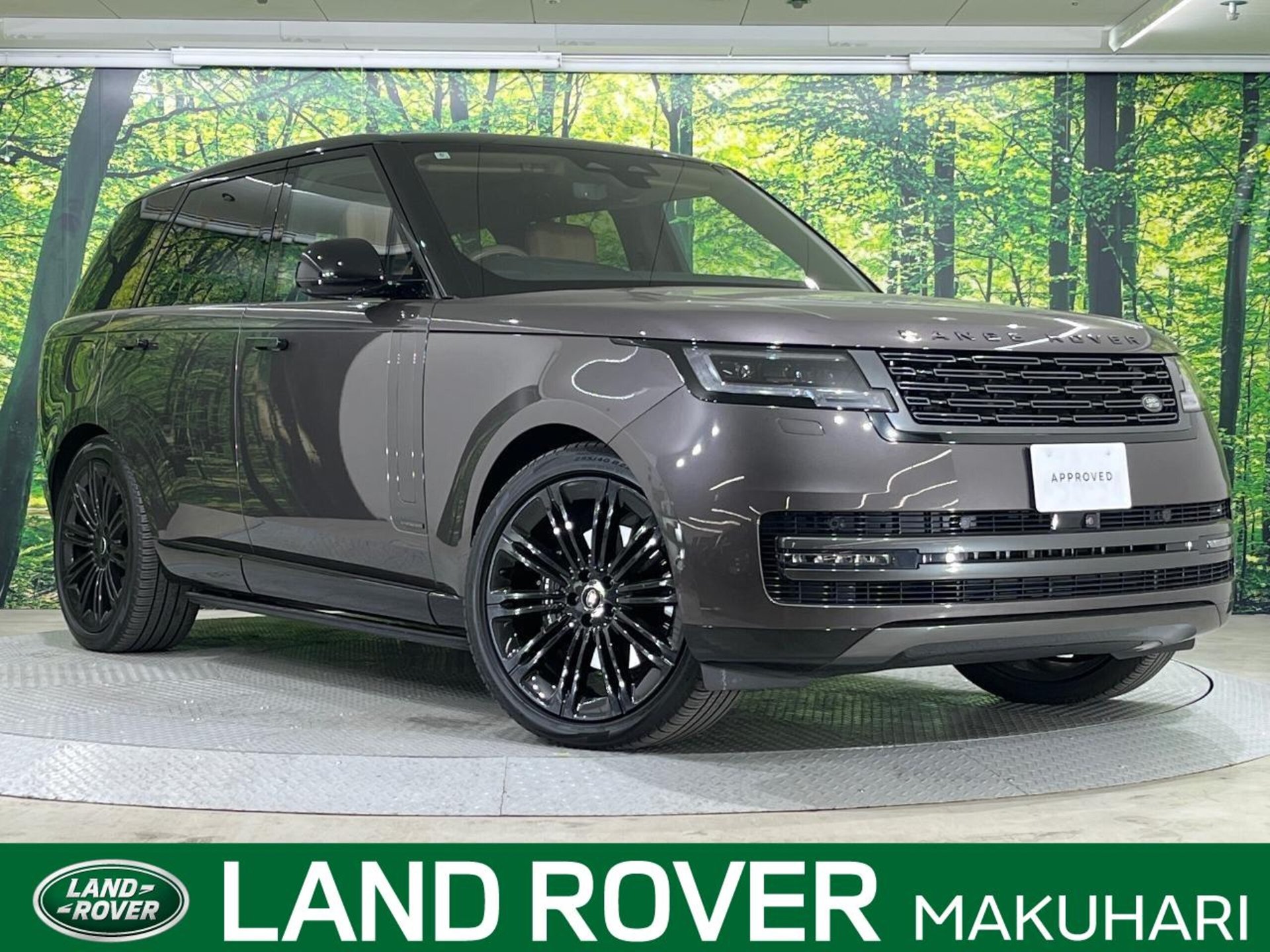 LAND ROVER RANGE ROVER - View 1