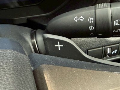 2025 Toyota LAND CRUISER 250 缩略图 52