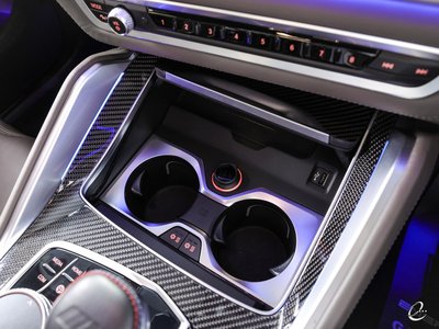 2020 BMW X6 M 照片 9