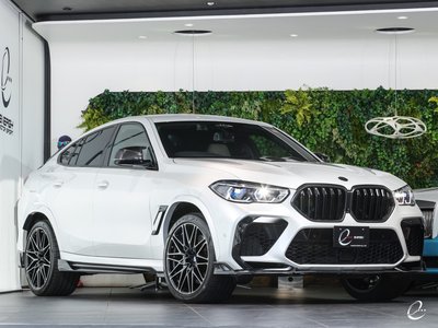 2020 BMW X6 M 照片 10