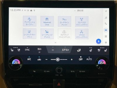 2025 Toyota VELLFIRE 缩略图 54