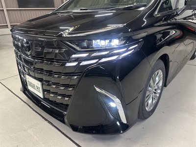 2026 Toyota ALPHARD — миниатюра 18
