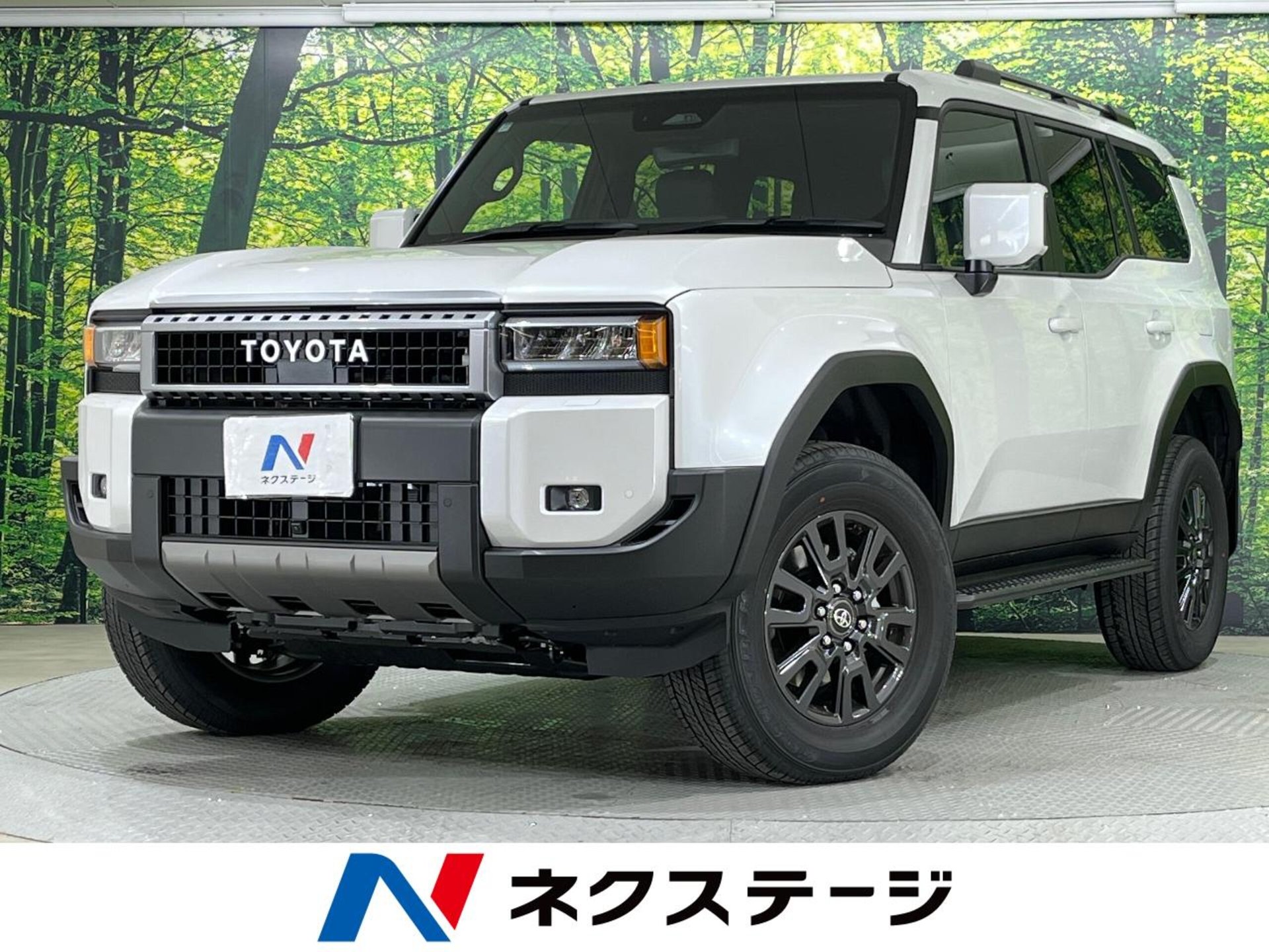 TOYOTA LAND CRUISER 250 - View 1