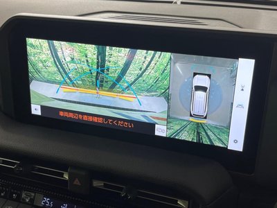 TOYOTA LAND CRUISER 250 - 5