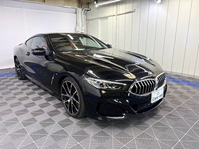 صورة مصغرة 53 لـ 2019 BMW 8 SERIES