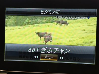 Thumbnail 46