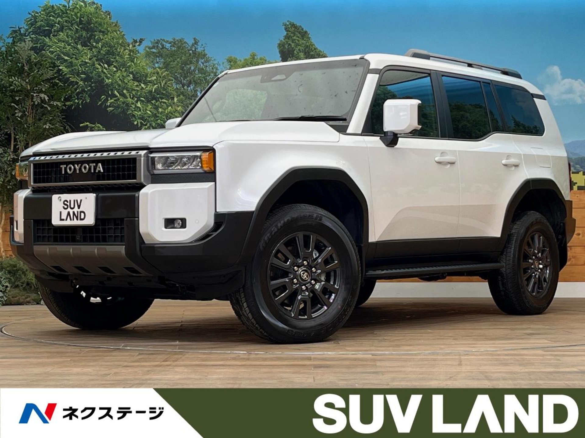 TOYOTA LAND CRUISER 250 - View 1