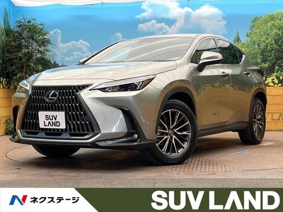 LEXUS NX - 1