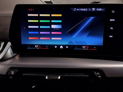 2024 BMW X2 缩略图 59