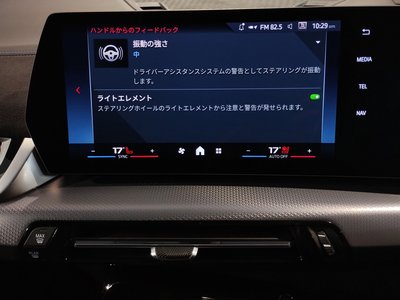 2024 BMW X2 缩略图 64