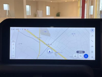 TOYOTA LAND CRUISER 250 - 6