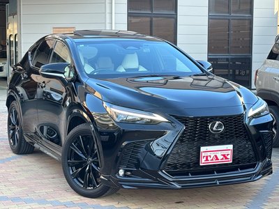 LEXUS NX - 10