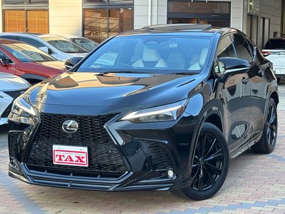 LEXUS NX - 1