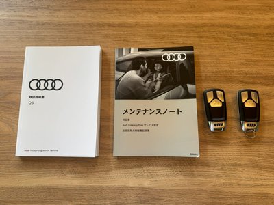 صورة مصغرة 80 لـ 2023 AUDI SQ5 SPORTBACK