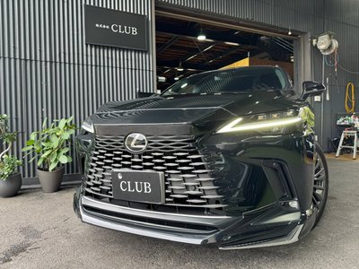 LEXUS RX - 4