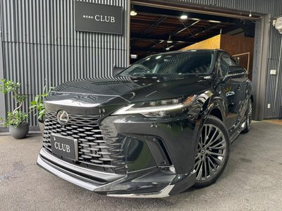 LEXUS RX - 6